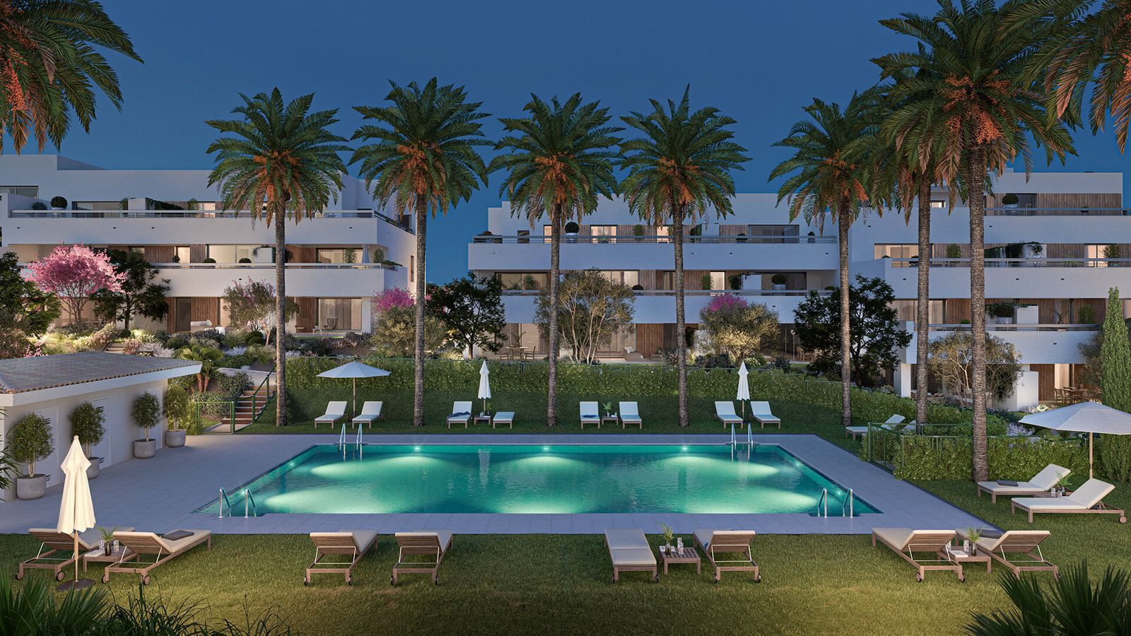 Luxe zwembad bij Sunset Bay residentie met palmbomen en ligstoelen.